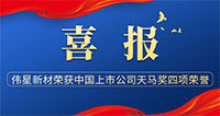 喜報！偉星新材榮獲天馬獎中國上市公司  “最佳投資者關(guān)系獎”等多項榮譽！