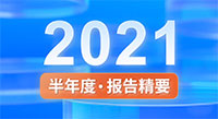 一圖看懂偉星新材2021半年度報告