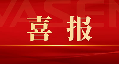 偉星新材榮獲中國上市公司“投資者關(guān)系天馬獎”等榮譽！