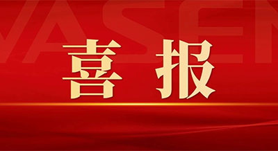 偉星新材榮獲2024年中國輕工業(yè)數(shù)字化轉(zhuǎn)型 “領(lǐng)跑者”